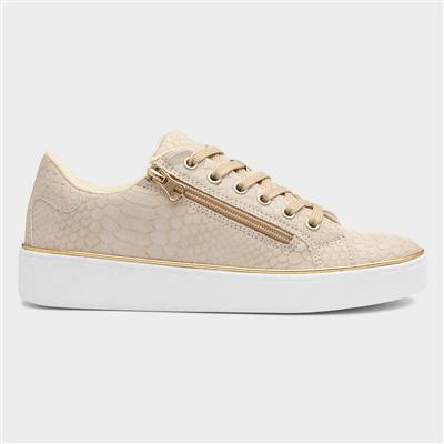 Gym Womens Beige Snake Print Shoe