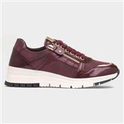 Lunar Sammy Womens Burgundy Lace Up Casual Shoe (Click For Details)