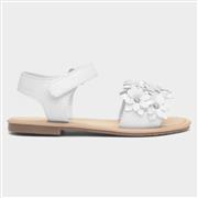 Walkright Faron Girls White Flower Sandal (Click For Details)