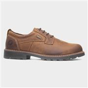 Cotswold Tadwick Mens Brown Leather Shoe (Click For Details)