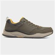 Skechers Benago Hombre Mens Green Trainer (Click For Details)