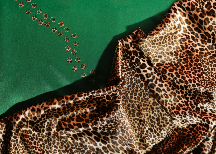 What to Wear with Leopard Print Shoes: Your Style Guide