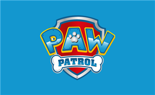 Paw patrol size hot sale 13 shoes